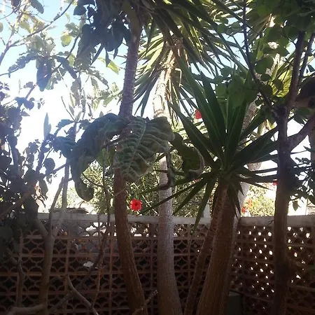 Il Sole Di Appartement Lampedusa